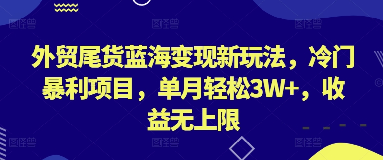 外贸尾货蓝海变现新玩法,冷门暴利项目,单月轻松3W+,收益无上限【揭秘】-赚金金-技能学习分享