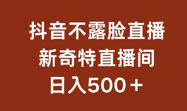 不露脸挂机直播，新奇特直播间，日入500+【揭秘】-赚金金-技能学习分享