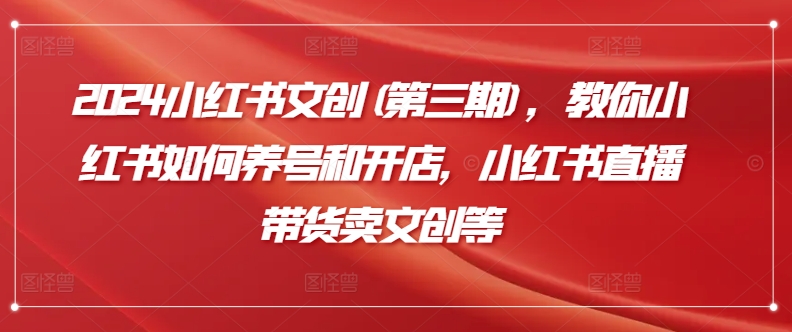2024小红书文创(第三期)，教你小红书如何养号和开店，小红书直播带货卖文创等-赚金金-技能学习分享