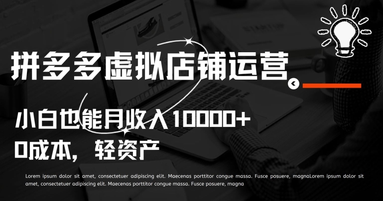 拼多多虚拟店铺运营小白也能月收入10000+【揭秘】-赚金金-技能学习分享