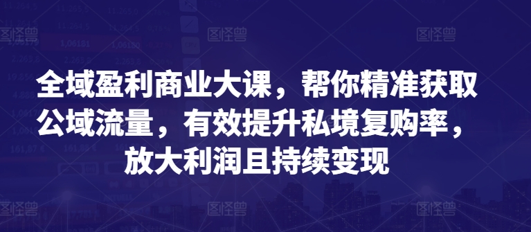 全域盈利商业大课，帮你精准获取公域流量，有效提升私境复购率，放大利润且持续变现-赚金金-技能学习分享