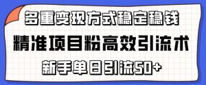 精准项目粉高效引流术，新手单日引流50+，多重变现方式稳定赚钱【揭秘】-赚金金-技能学习分享