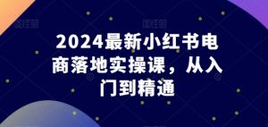 2024最新小红书电商落地实操课,从入门到精通-赚金金-技能学习分享