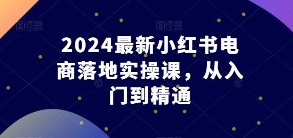 2024最新小红书电商落地实操课，从入门到精通-赚金金-技能学习分享