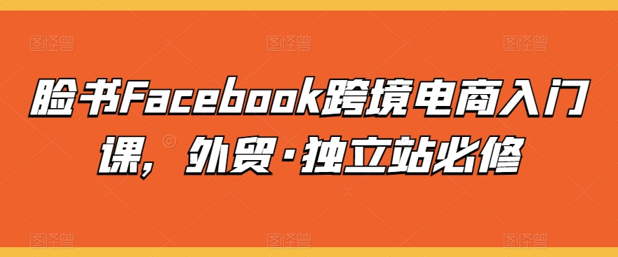 脸书Facebook跨境电商入门课，外贸·独立站必修-赚金金-技能学习分享