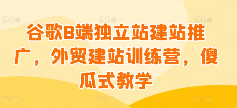谷歌B端独立站建站推广，外贸建站训练营，傻瓜式教学-赚金金-技能学习分享