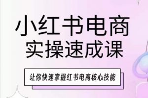 小红书电商实操速成课，让你快速掌握红书电商核心技能-赚金金-技能学习分享