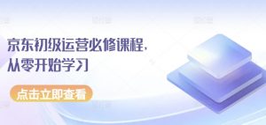 京东初级运营必修课程,从零开始学习-赚金金-技能学习分享