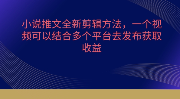 小说推文全新剪辑方法，一个视频可以结合多个平台去发布获取【揭秘】-赚金金-技能学习分享