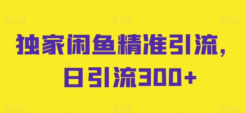 独家闲鱼精准引流，日引流300+【揭秘】-赚金金-技能学习分享