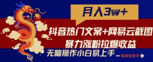 抖音热门文案+网易云截图暴力涨粉拉爆收益玩法,小白无脑操作,简单易上手【揭秘】-赚金金-技能学习分享
