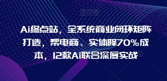 Ai终点站，全系统商业闭环矩阵打造，帮电商、实体降70%成本，12款Ai联合深度实战-赚金金-技能学习分享