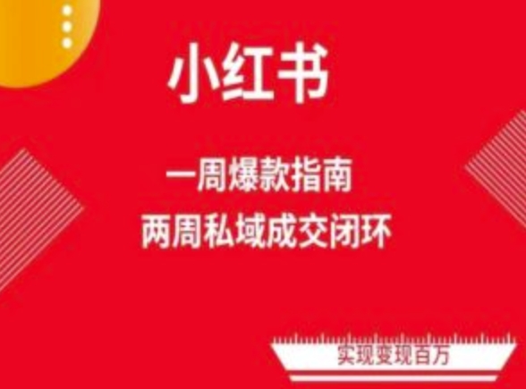 爆款小红书免费流量体系课程(两周变现)，小红书电商教程-赚金金-技能学习分享