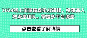 2024线上流量操盘实战课程,搭建高人效流量团队,掌握多平台流量-赚金金-技能学习分享