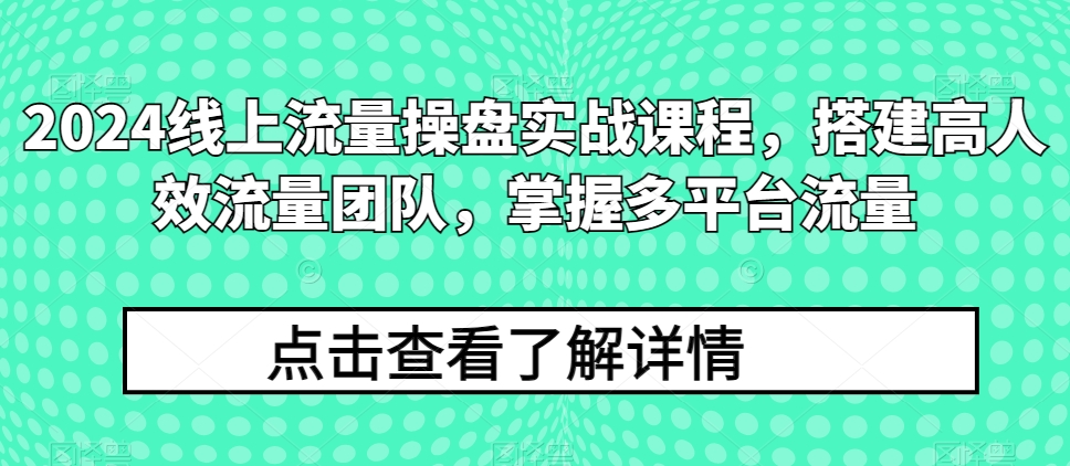 2024线上流量操盘实战课程,搭建高人效流量团队,掌握多平台流量-赚金金-技能学习分享