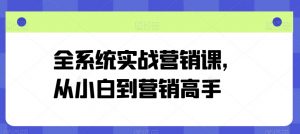 全系统实战营销课,从小白到营销高手-赚金金-技能学习分享