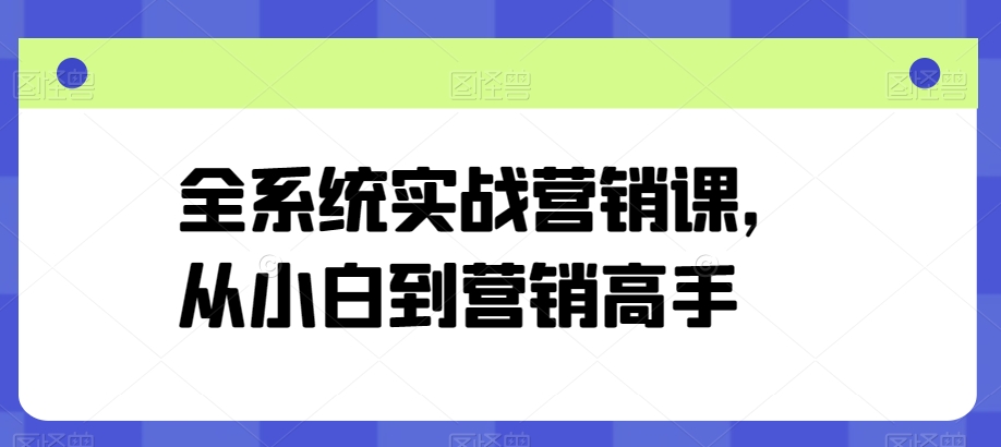 全系统实战营销课,从小白到营销高手-赚金金-技能学习分享