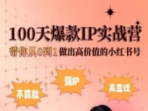 小红书100天爆款IP实战营,带你从0到1做出高价值的小红书号-赚金金-技能学习分享