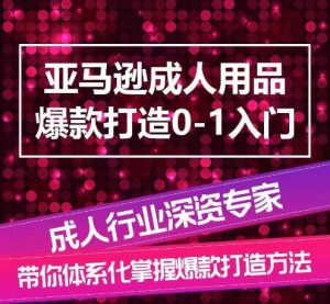 亚马逊成人用品爆款打造0-1入门,系统化讲解亚马逊成人用品爆款打造的流程-赚金金-技能学习分享