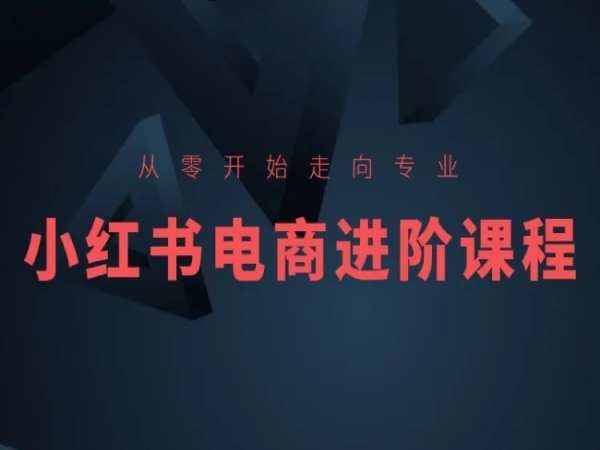 从零开始走向专业，小红书电商进阶课程-赚金金-技能学习分享