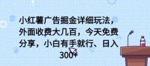 小红薯广告掘金详细玩法,外面收费大几百,小白有手就行,日入300+【揭秘】-赚金金-技能学习分享