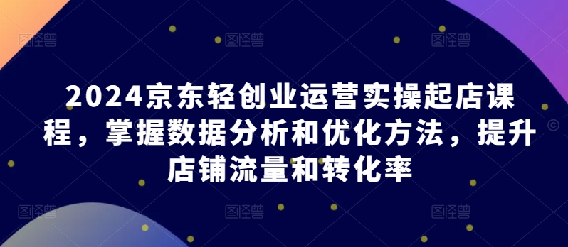 2024京东轻创业运营实操起店课程，掌握数据分析和优化方法，提升店铺流量和转化率-赚金金-技能学习分享