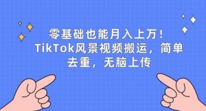 零基础也能月入上w,TikTok风景视频搬运,简单去重,无脑上传【揭秘】-赚金金-技能学习分享