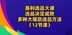 暴利选品大课:选品决定成败,教你多种大爆款选品方法(12节课)-赚金金-技能学习分享