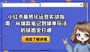 小红书高转化运营实战指南,从爆款笔记到爆单玩法的链路全打通-赚金金-技能学习分享
