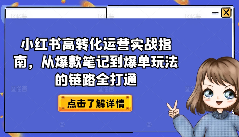小红书高转化运营实战指南,从爆款笔记到爆单玩法的链路全打通-赚金金-技能学习分享