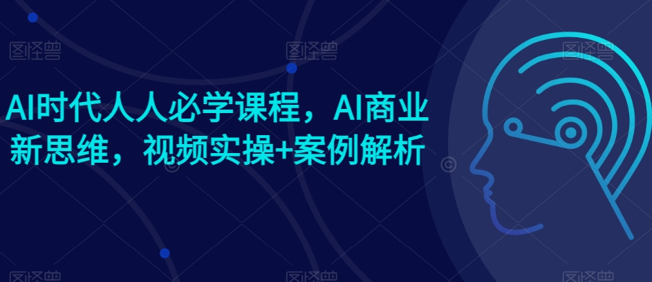 AI时代人人必学课程，AI商业新思维，视频实操+案例解析【赠AI商业爆款案例】-赚金金-技能学习分享