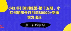 小红书引流训练营-第十五期，小红书矩阵号月引流80000+到微信方法论-赚金金-技能学习分享
