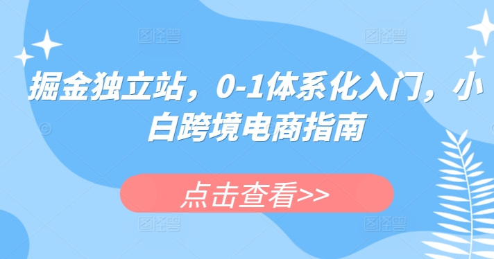 掘金独立站，0-1体系化入门，小白跨境电商指南-赚金金-技能学习分享