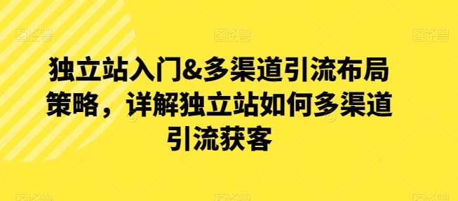 独立站入门&多渠道引流布局策略,详解独立站如何多渠道引流获客-赚金金-技能学习分享