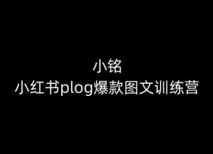 小铭-小红书plog爆款图文训练营，教你从0-1做小红书-赚金金-技能学习分享