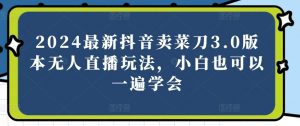 2024最新抖音卖菜刀3.0版本无人直播玩法,小白也可以一遍学会【揭秘】-赚金金-技能学习分享