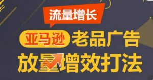 亚马逊流量增长-老品广告放量增效打法，循序渐进，打造更多TOP listing​-赚金金-技能学习分享