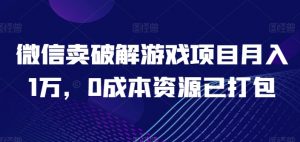 微信卖破解游戏项目月入1万,0成本资源已打包【揭秘】-赚金金-技能学习分享