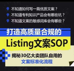 打造高质量合规的Listing文案SOP,掌握亚马逊文案工作的标准化-赚金金-技能学习分享