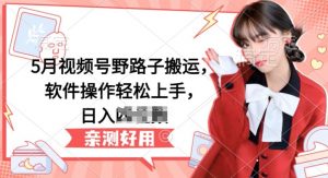 5月视频号野路子搬运,软件操作轻松上手,日入三位数【揭秘】-赚金金-技能学习分享