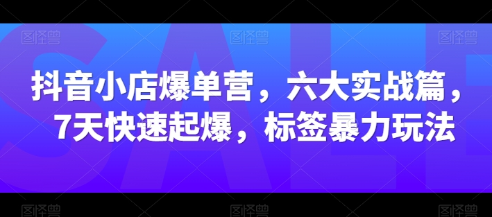 抖音小店爆单营，六大实战篇，7天快速起爆，标签暴力玩法-赚金金-技能学习分享