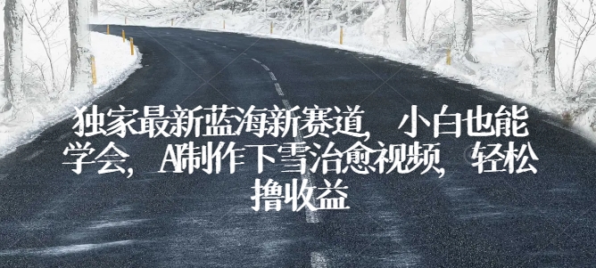 独家最新蓝海新赛道，小白也能学会，AI制作下雪治愈视频，轻松撸收益【揭秘】-赚金金-技能学习分享