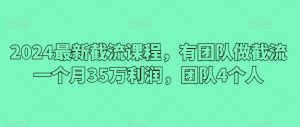 2024最新截流课程,有团队做截流一个月35万利润,团队4个人-赚金金-技能学习分享