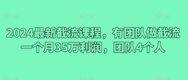 2024最新截流课程，有团队做截流一个月35万利润，团队4个人-赚金金-技能学习分享