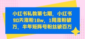 小红书私教第七期,小红书90天涨粉18w,1周涨粉破万,半年矩阵号粉丝破百万-赚金金-技能学习分享