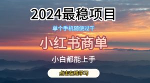 2024最稳蓝海项目，小红书商单项目，没有之一【揭秘】-赚金金-技能学习分享