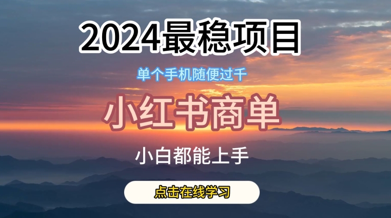2024最稳蓝海项目，小红书商单项目，没有之一【揭秘】-赚金金-技能学习分享