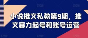小说推文私教第9期,推文暴力起号和账号运营-赚金金-技能学习分享