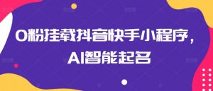 0粉挂载抖音快手小程序，AI智能起名-赚金金-技能学习分享