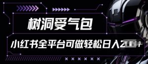 小红书等全平台树洞受气包项目,轻松日入一两张【揭秘】-赚金金-技能学习分享